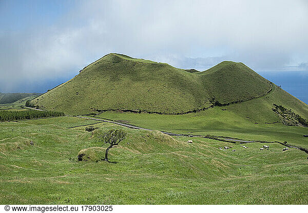 Portugal  Azores  Green hills of Pico Island