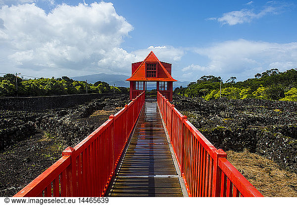 Portugal  Azores  Island of Pico  Wine museum  Red walkway in the vineyards