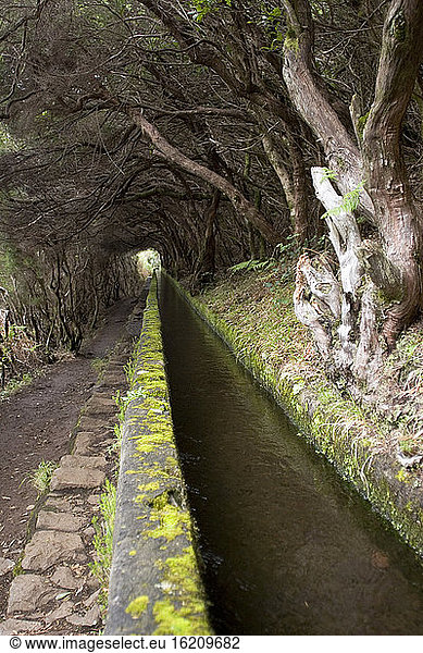 Portugal  Madeira  Levada  traditionelle Kanalbewässerung