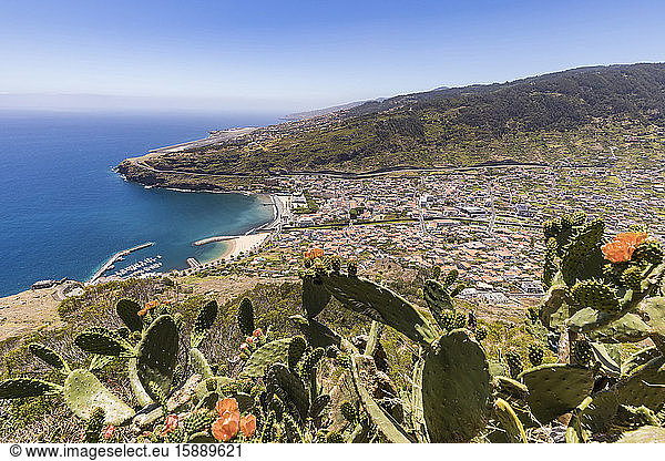 Portugal  Madeira  Machico  Cacti growing on top of coastal hill with town in background