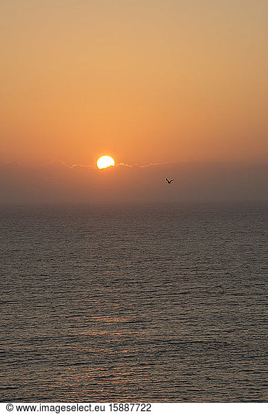 Portugal  Oeste  Alcobaca  Atlantic Ocean at moody orange sunset