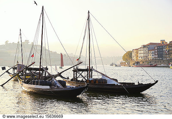 Portugal  Porto  Douro  Vila NovaÂ deÂ GaiaÂ Portweinboote