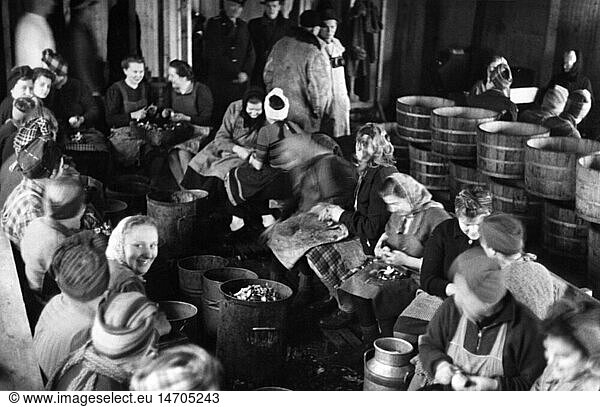 post war period  refugees  Germany  fugitives prepare a meal  1945 / 1946