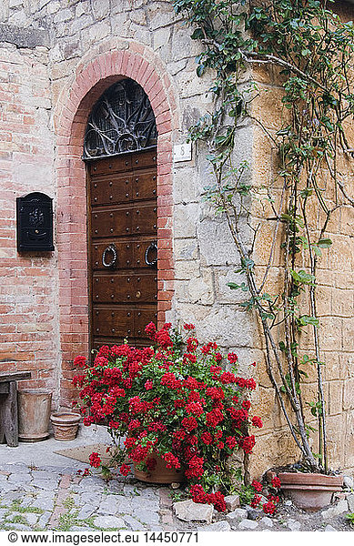 Potted Plant in Front of Arched Doorway