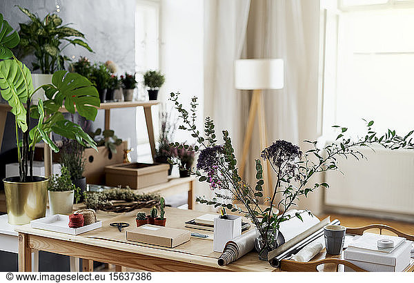 Potted plants and accessories on table