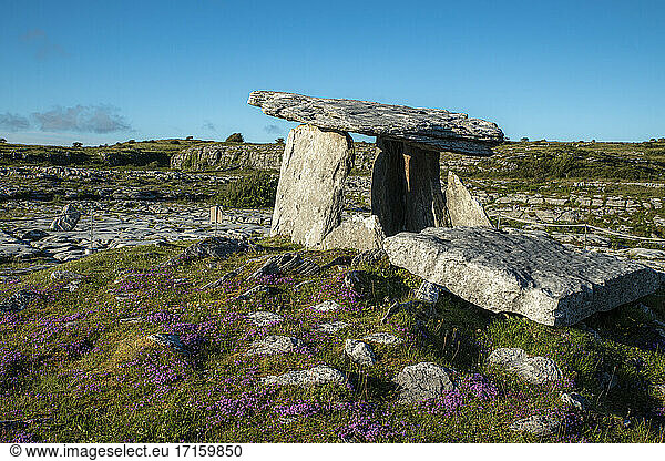 Poulnabrone dolmen auf dem Land gegen klaren blauen Himmel an einem sonnigen Tag  Clare  Irland