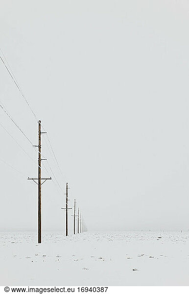 Power lines in snowy wintry landscape with grey sky.