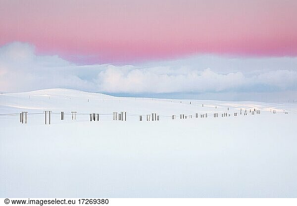 Power poles in winter landscape  light atmosphere  Tana  Norway  Europe