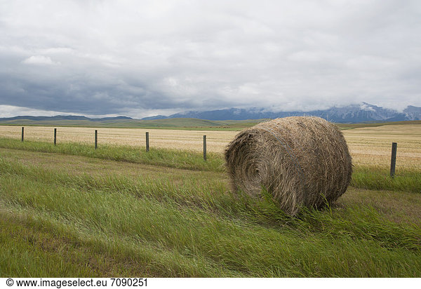 Prairie lands  agriculture landscape and cowboy country in the foothills of the Rockies. Hay bale and fence.