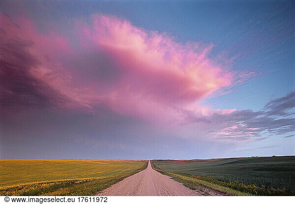 Prairie Road at Sunset Near Rosetown  Saskatchewan Canada