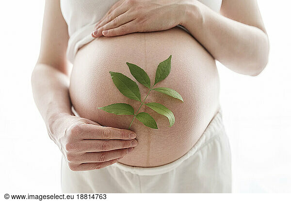 Pregnant woman holding leaves over belly