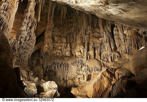 Prehistoric Cave of the Bats. Zuheros. Cordoba province. Region of Andalusia. Spain. Europe.
