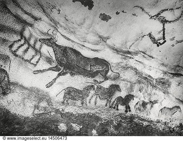Prehistoric Cave Painting  Lascaux  France  “Images Préhistoriques   Film Still  1955  Arcady et Rowe