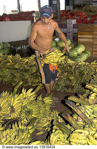 Preparing Bananas  Manaus  Brazil