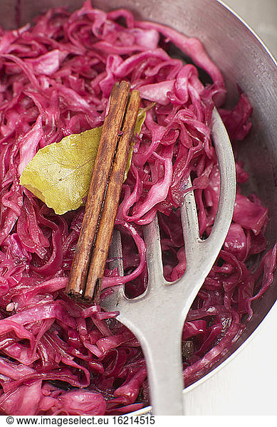 Preparing red cabbage in pan  close-up