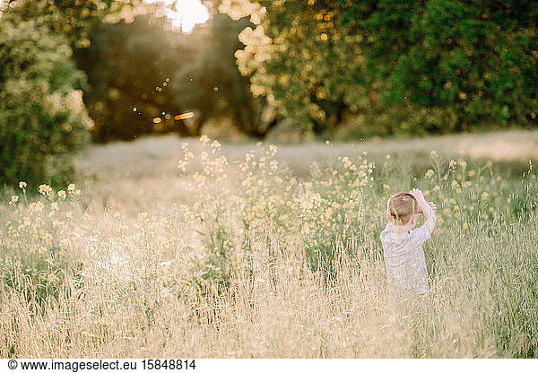 Preschooler playing in a field at sunset