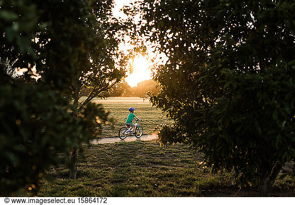 Preschooler riding a bicycle on sidewalk at sunset