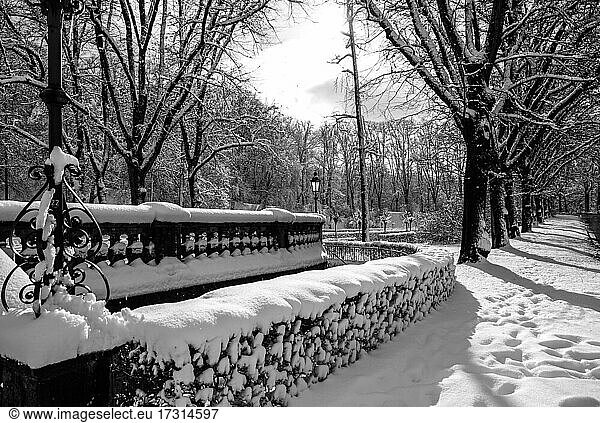 Prinzregent-Luitpold-Terrasse in the Maximiliansanlagen  snowy in winter  Munich  Upper Bavaria  Bavaria  Germany  Europe