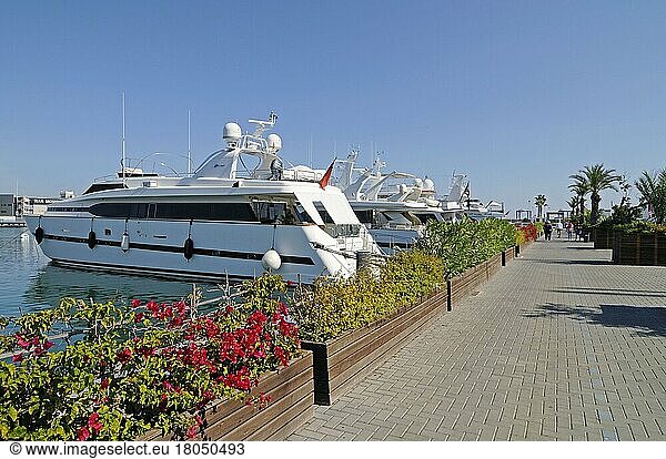 Promenade  Boote  Hafen  Hafen  Valencia  Valencianische Gemeinschaft  Spanien  Europa