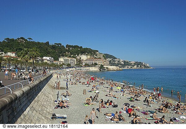 Promenade des Anglais  Nizza  Cote d'Azur  Alpes-Maritimes  Provence-Alpes-Cote d'Azur  Frankreich  Europa