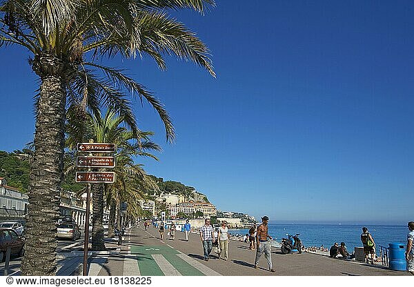 Promenade des Anglais  Nizza  Cote d'Azur  Alpes-Maritimes  Provence-Alpes-Cote d'Azur  Frankreich  Europa