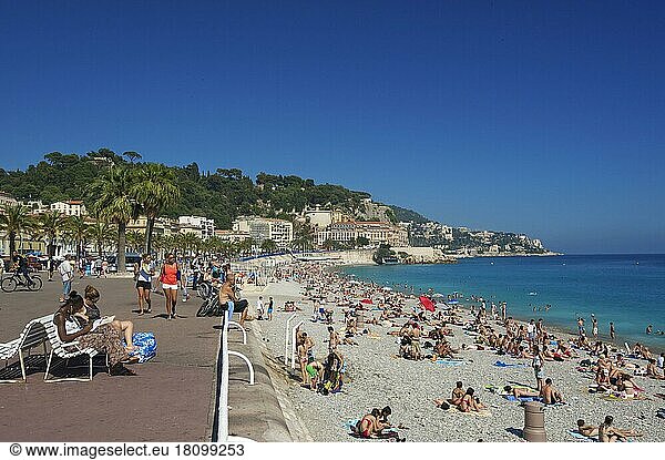Promenade des Angles  Nizza  Cote d'Azur  Alpes-Maritimes  Provence-Alpes-Cote d'Azur  Frankreich  Europa