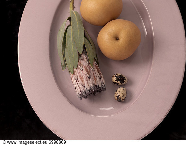 Protea Flower  Chinese Pear and Quail Eggs