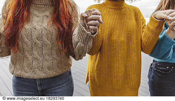 Protestors wearing warm clothing holding hands with each other