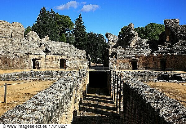 Provinz Sevilla  Santiponce  archäologische Ausgrabungsstätte Italica  Amphietheater  Andalusien  Spanien  Europa
