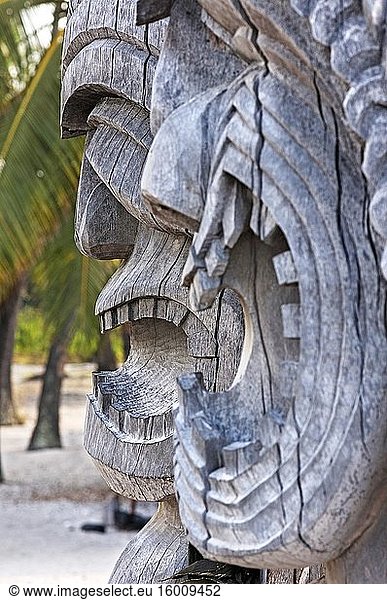 Pu'uhonua O Honaunau National Historic Park  Hale O Keawe rekonstruierter Tempel mit Holzschnitzereien  South Kona Coast  Big Island. Ki'i Totem Bilder Holz  in der Nähe von Wasser gewarnt  dass das Dock Kanus am Strand war für den ausschließlichen Gebrauch des Kopfes und seine Assistenten. Pu'uhonua. Honaunau National Historic Park. Big Island. Hawaii. Bis ins frühe 19. Jahrhundert konnten Hawaiianer  die gegen das Gesetz verstießen  der Todesstrafe entgehen  indem sie in eine Region an der Westküste flohen  die als pu'uhonua oder Zufluchtsort bekannt war  wo ihnen von einem Priester der Region vergeben wurde. Heutzutage ist dieser Zufluchtsort ein historisches Wahrzeichen  das vom Parkdienst geschützt wird. Er ist auch ein äußerst beliebtes Ausflugsziel für Urlauber auf der Big Island  und die Bilder machen deutlich  warum. Pu'uhonua o Honaunau ist nicht nur etwas für Geschichtsinteressierte  sondern auch für diejenigen  die ein Faible für Geschichte und Wissenswertes haben  denn hier gibt es auffällige Tempel  kunstvolle Holzschnitzereien und jede Menge Honu (Grüne Meeresschildkröten)  die auf dem Gelände leben. Und natürlich die atemberaubende Kulisse ? ? der Pu'uhonua o Honaunau National Historical Park befindet sich in der Nähe einiger der besten Schnorchelstrände von Big Island.