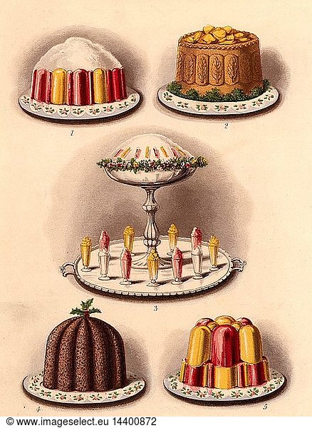 Puddings and a pie. Top; Jelly and cream  and Yorkshire pie with aspic jelly. Bottom; Christmas pudding  and a jelly. In the centre is a triflle surrounded by ices and jellies. Chromolithograph from "Cassell"s Book of the Household" (London  c1895).