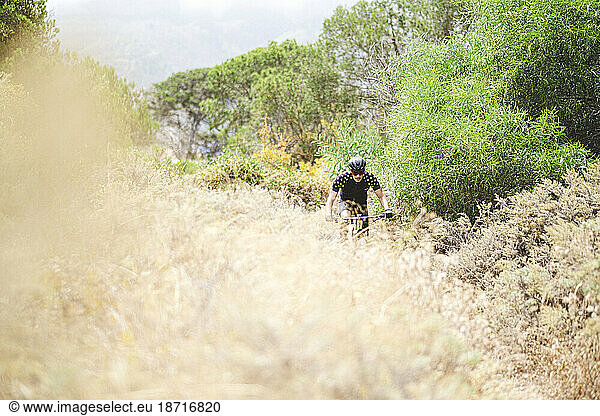 Pulled back view of mountain bike cyclist in forest