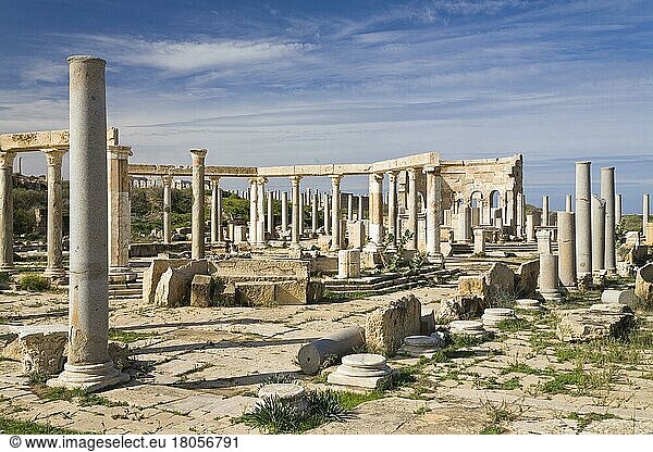 Punischer Markt  Ruinenstadt Leptis Magna  Libyen  Afrika
