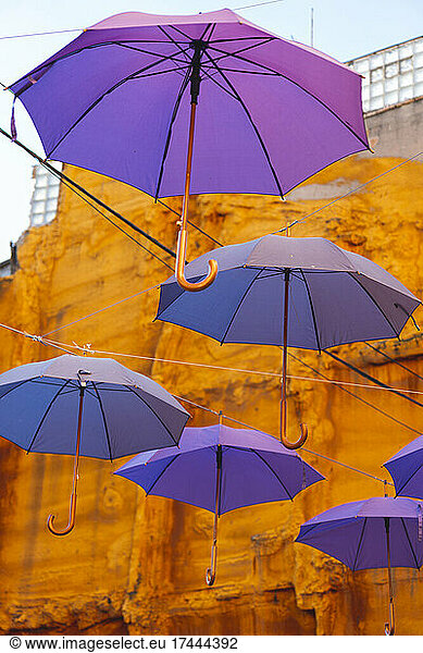 Purple umbrellas hanging