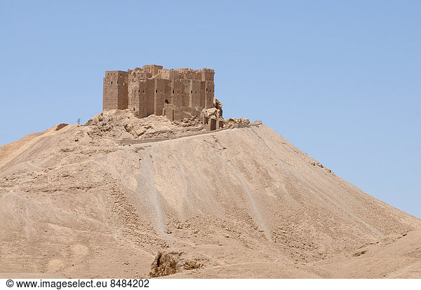 Qal?at Ibn Ma?n  mittelalterliche arabische Festung  UNESCO-Weltkulturerbe  Palmyra  Distrikt Palmyra  Gouvernement Homs  Syrien