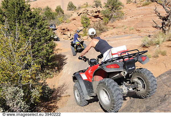 Quadfahrer am Slickrock Trail  Moab  Utah  USA