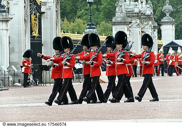 Queen's Guard  Changing the Guard  Changing the Guard in front of Buckingham Palace  London  London Region  England  United Kingdom  Europe