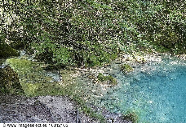 Quelle des Flusses Urederra im Urbasa-Gebirge  Navarra  Spanien.