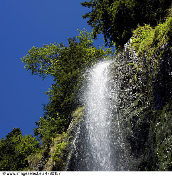 Quereuilh Wasserfall  Mont Dore  Puy-de-DÙme  Frankreich  Europa