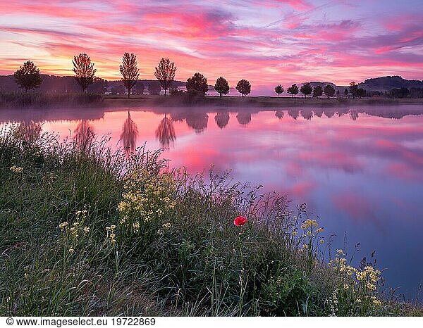Quiet lake at dawn  wildflowers and poppies on the shore  trees are reflected  Thuringia  Germany  Europe
