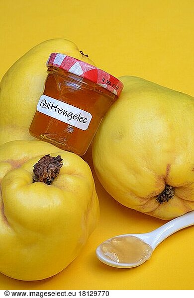 Quince jelly  quince  Cydonia oblonga
