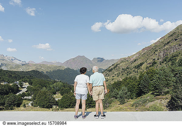 Rückansicht eines älteren Ehepaares  das die Ansicht Hand in Hand betrachtet  Jaca  Spanien