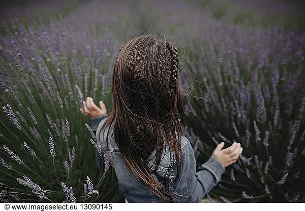 Rückansicht eines Mädchens inmitten eines Lavendelfeldes