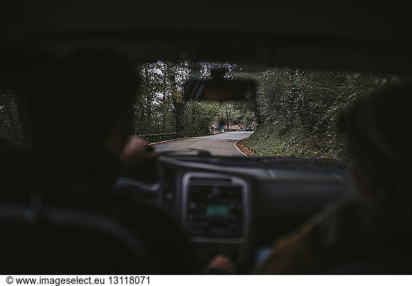 Rückansicht eines Mannes  der auf einer Straße im Wald Auto fährt
