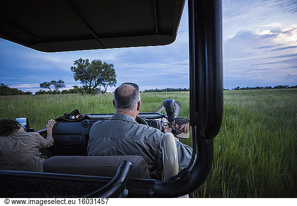 Rückansicht eines Safari-Führers  der ein Safari-Fahrzeug im Gras fährt  Botswana