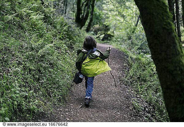 Rückenansicht Junge Walking Stick glücklich auf Pfad Pfad durch Farne Wald