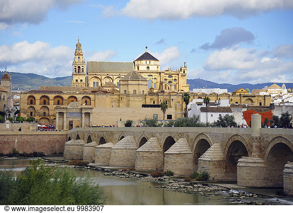 Römische Brücke über den Guadalquivir  Ausblick auf die Moschee-Kathedrale  Córdoba  Andalusien  Spanien  Europa
