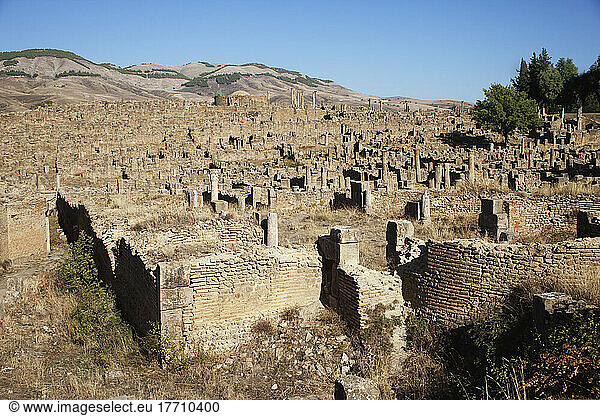 Römische Ruinen des christlichen Viertels; Djemila  Algerien