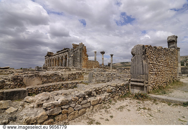 Römische Ruinenstadt Volubilis  Marokko  Afrika