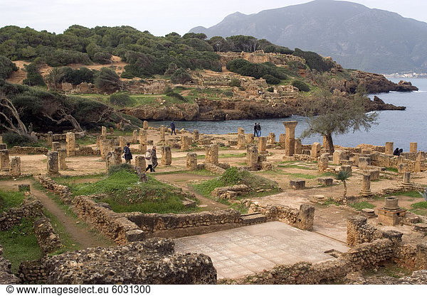 Römische Website Tipasa,  UNESCO World Heritage Site,  Algerien,  Nordafrika,  Afrika
